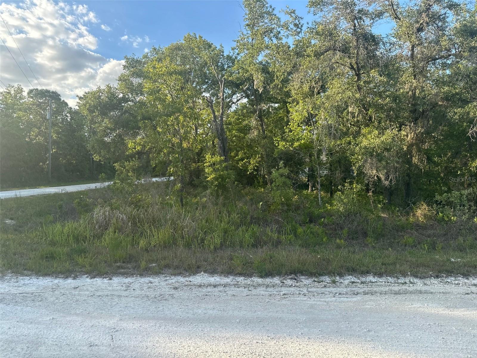 Image 3 of 4 For 16364 Cayman Road