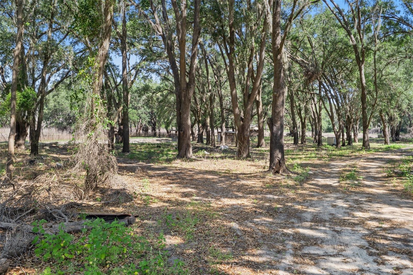 Image 6 of 27 For 25399 Mondon Hill Road