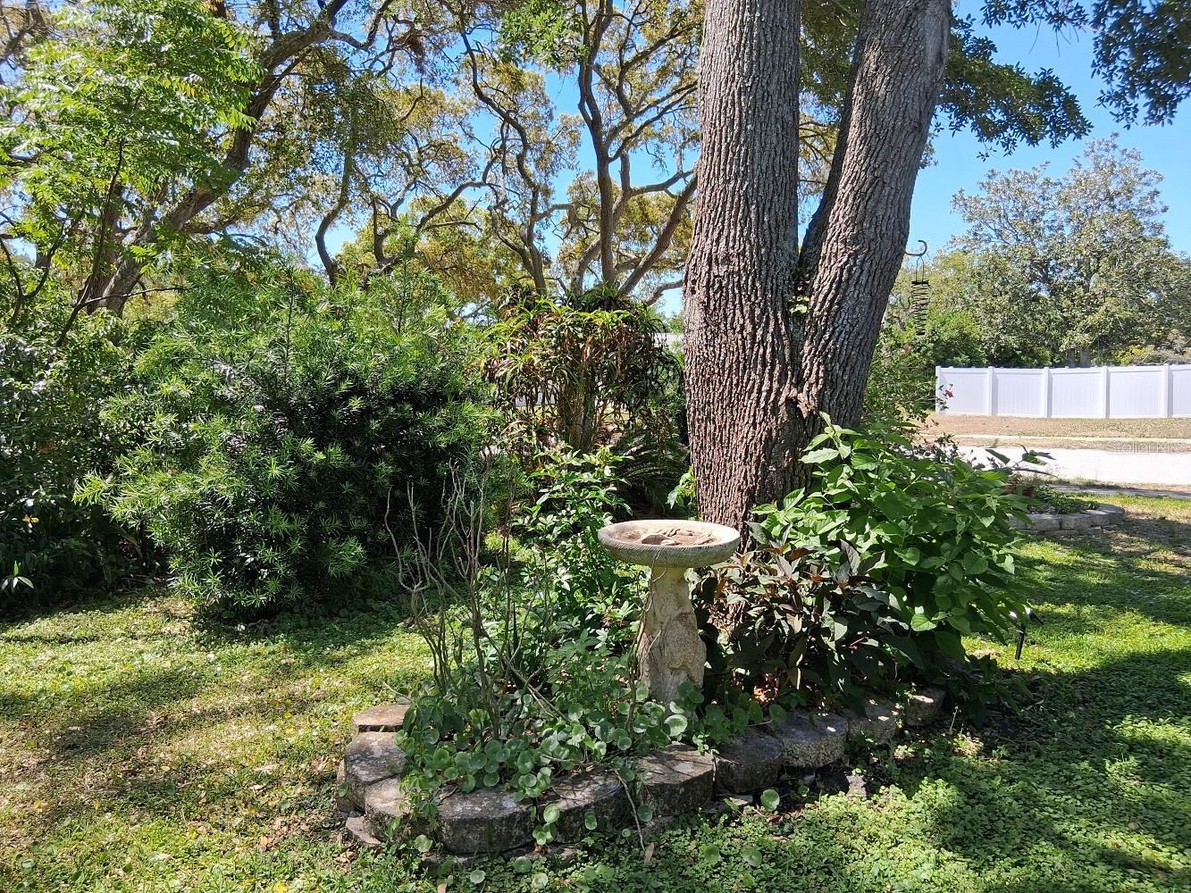 Listing photo id 37 for 7508 Cypress Knee Drive