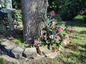 Listing photo id 39 for 7508 Cypress Knee Drive