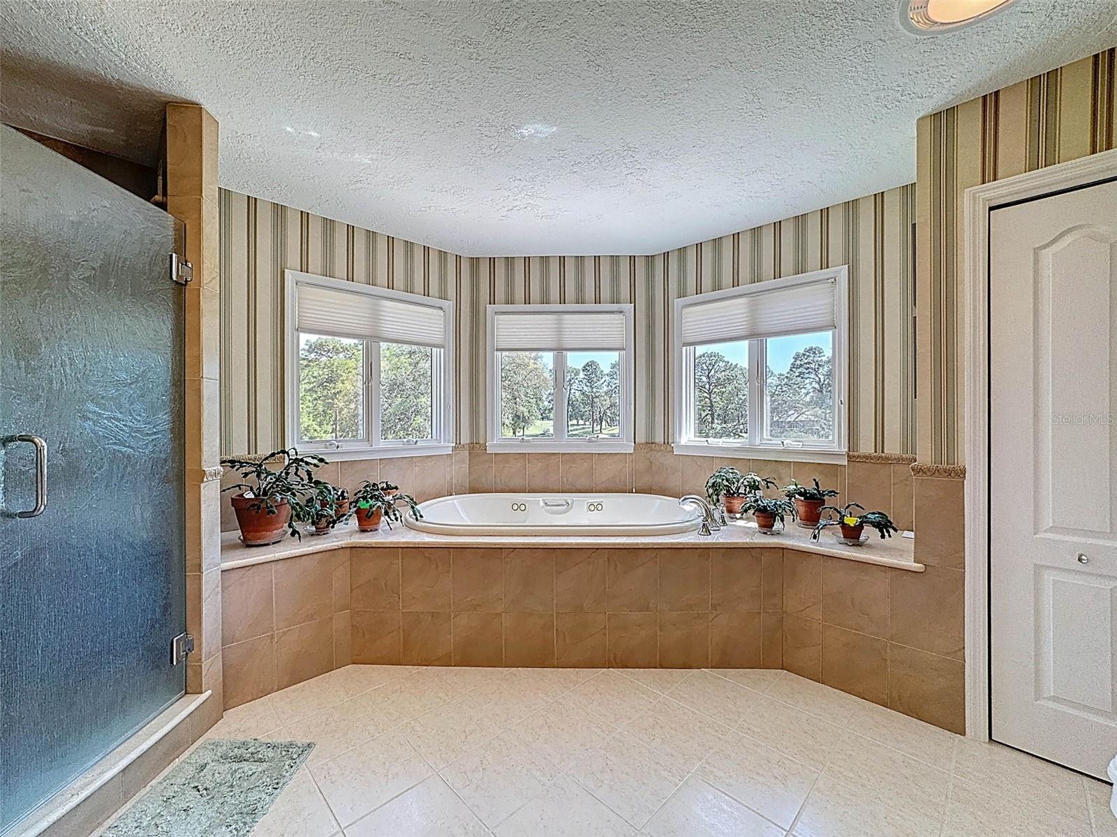 Image 42 of 92 For 5198 Legend Hills Lane
