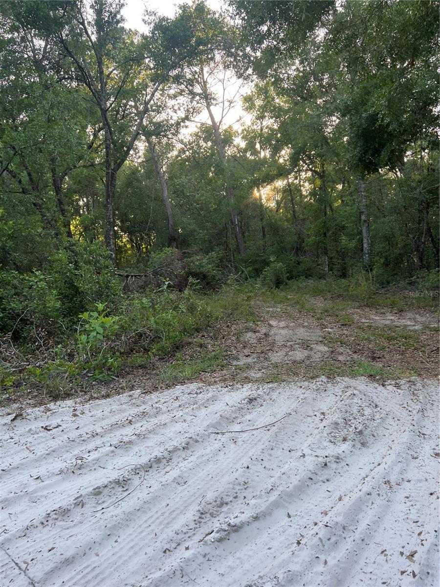 Image 4 of 6 For Havenwoods Road