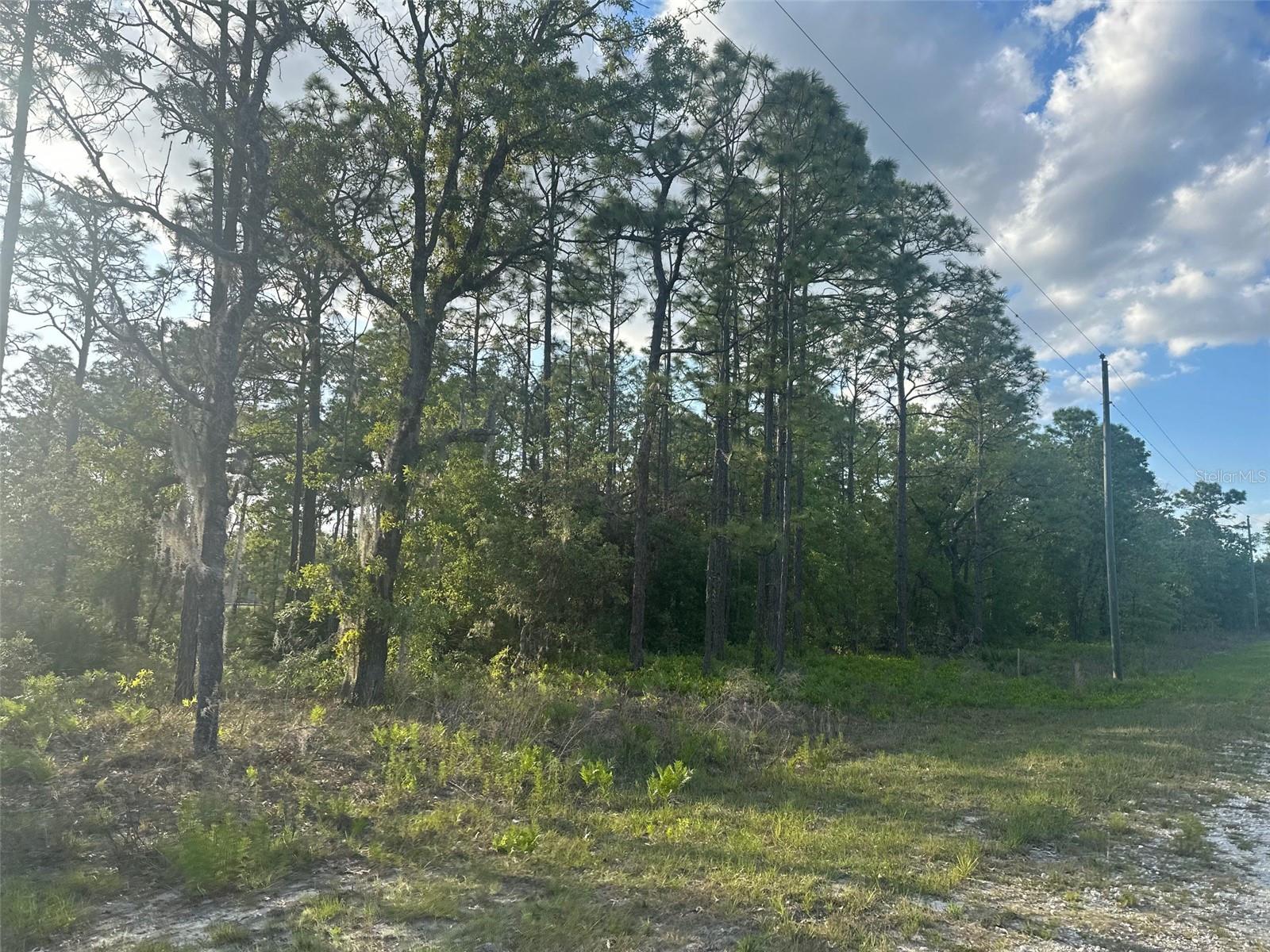 Details for Lot 19 Cayman Road, BROOKSVILLE, FL 34614