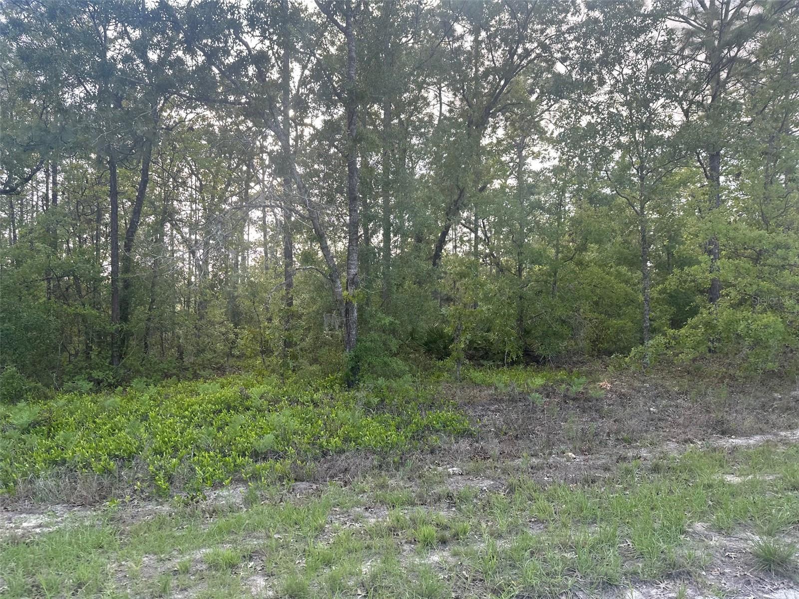 Image 2 of 4 For Lot 19 Cayman Road