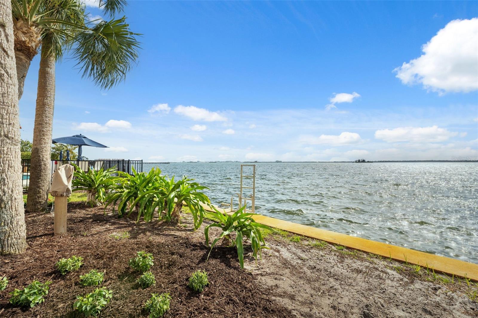 Image 41 of 66 For 1340 Bayshore Boulevard 411