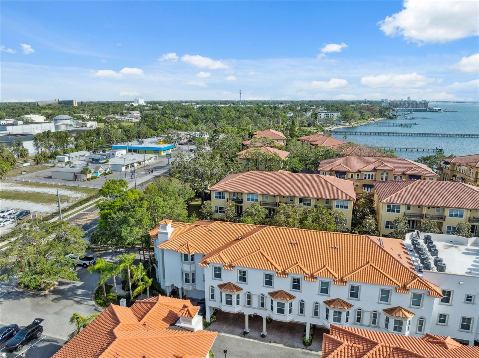 Image 46 of 66 For 1340 Bayshore Boulevard 411