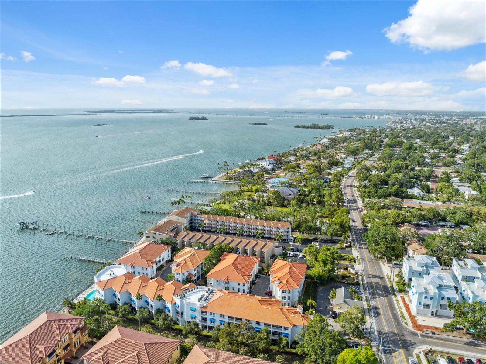 Image 53 of 66 For 1340 Bayshore Boulevard 411