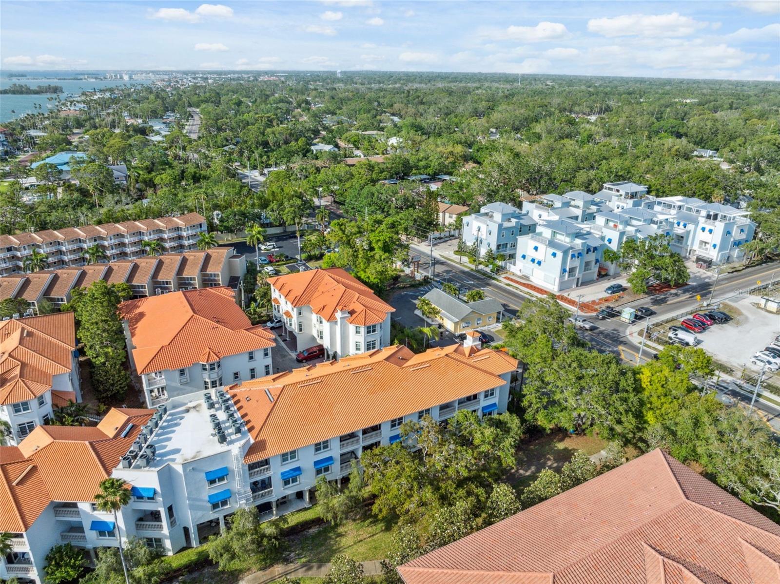Image 54 of 66 For 1340 Bayshore Boulevard 411