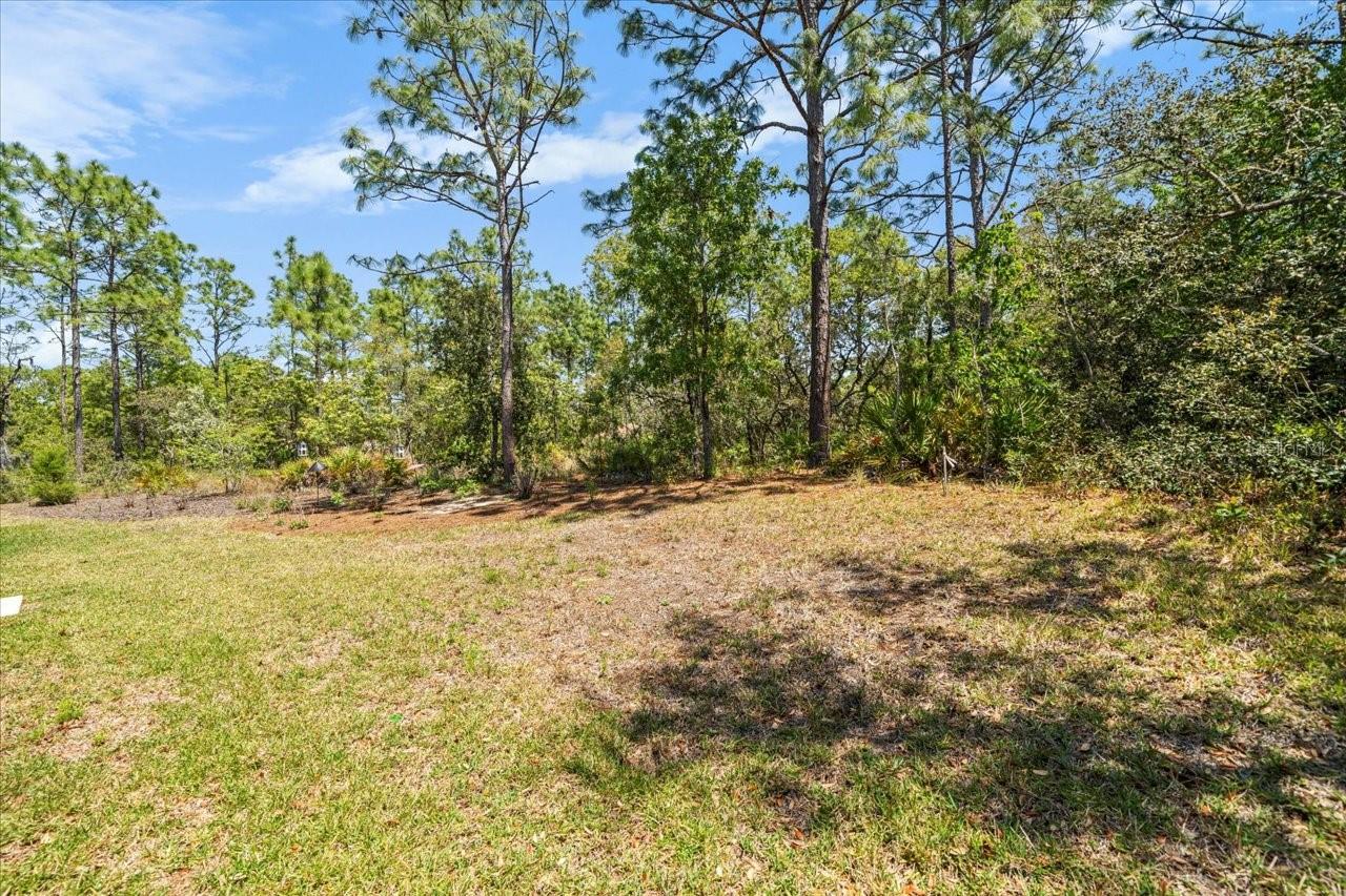 Listing photo id 36 for 39 Linder Street