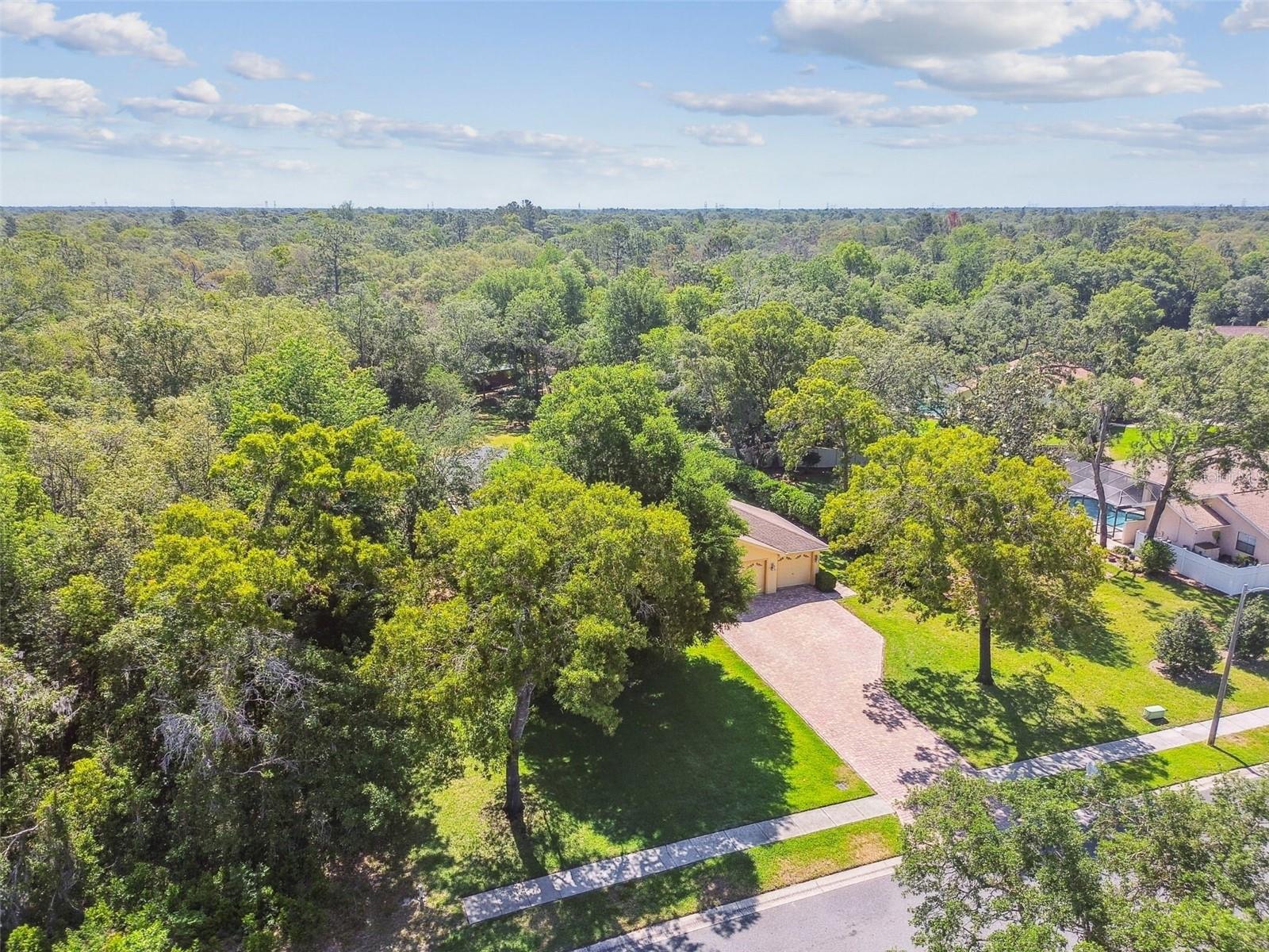Image 74 of 98 For 18502 Winding Oaks Boulevard