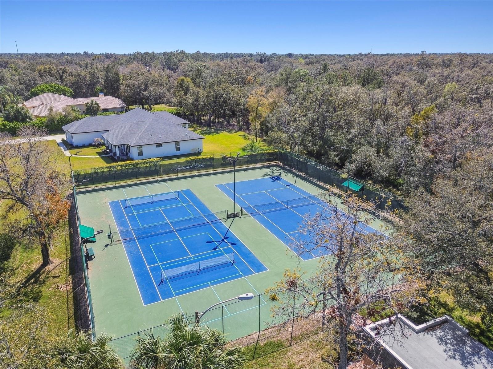 Image 91 of 98 For 18502 Winding Oaks Boulevard