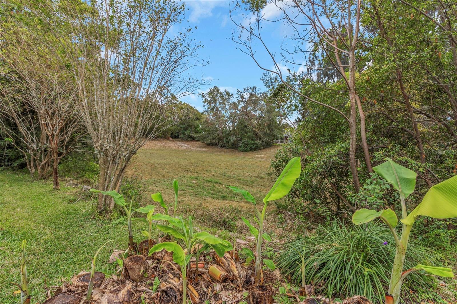 Image 18 of 67 For 8514 Ashbury Drive