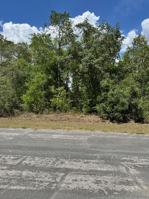 Details for 2235 Summer Place, CITRUS SPRINGS, FL 34434