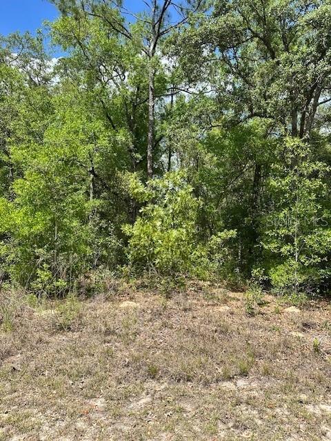 Listing photo id 2 for 2235 Summer Place