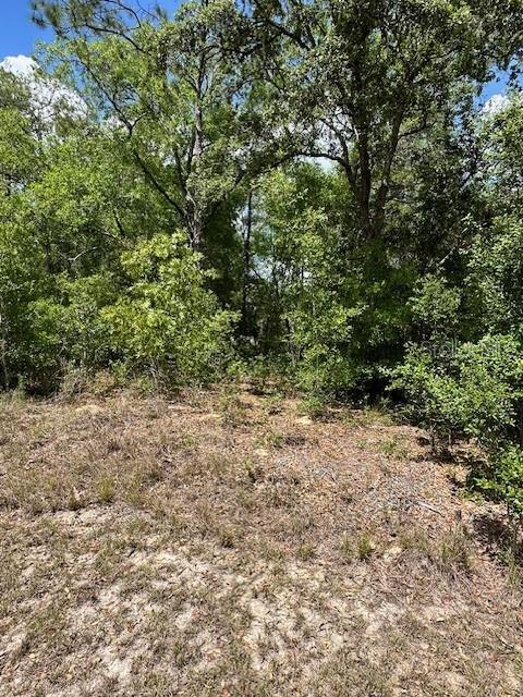 Listing photo id 3 for 2235 Summer Place