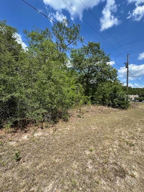 Listing photo id 4 for 2235 Summer Place