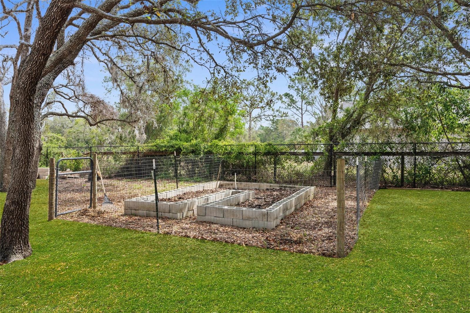 Image 46 of 55 For 18620 Gracie Lee Street