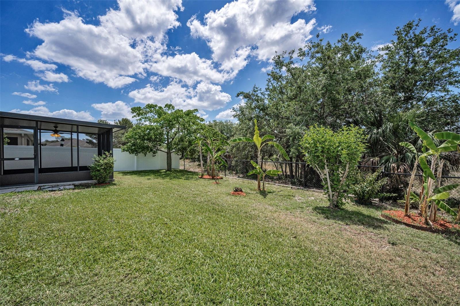 Image 51 of 71 For 10106 Tolman Drive