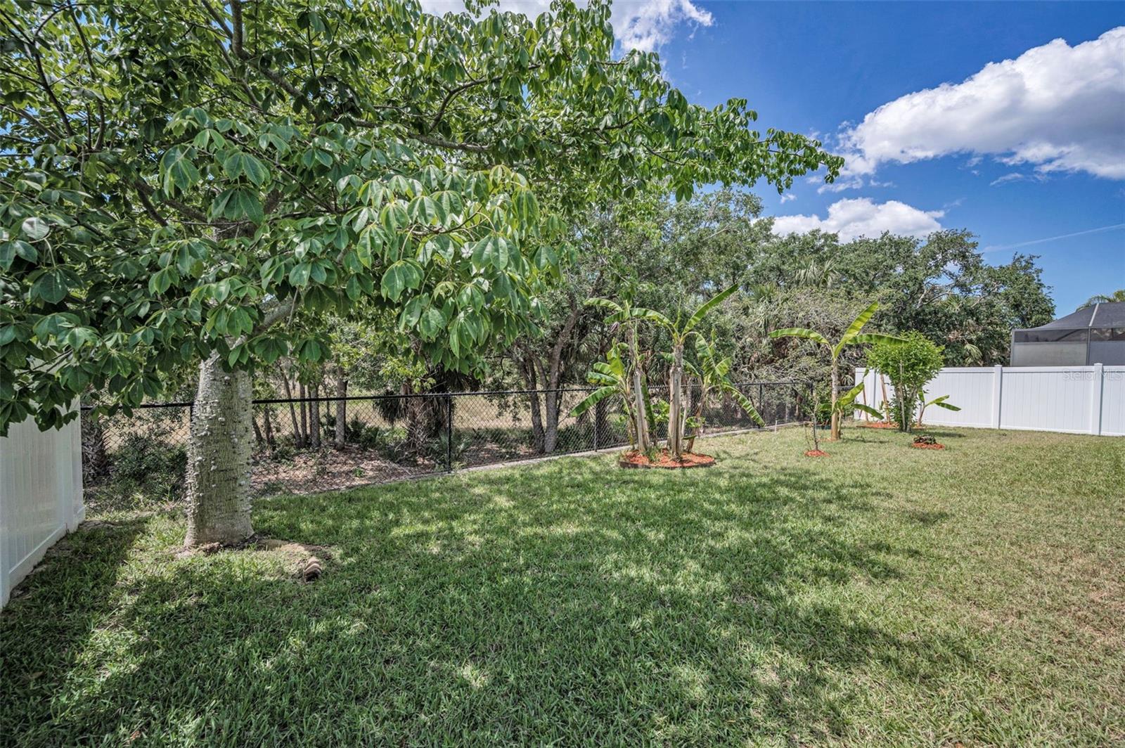 Image 52 of 71 For 10106 Tolman Drive