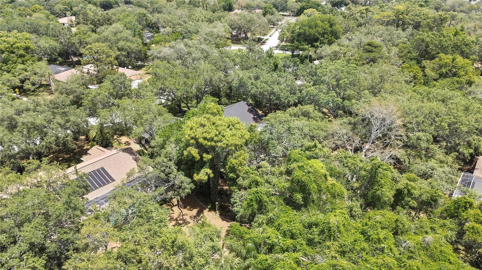 Image 55 of 67 For 7233 Royal Oak Drive