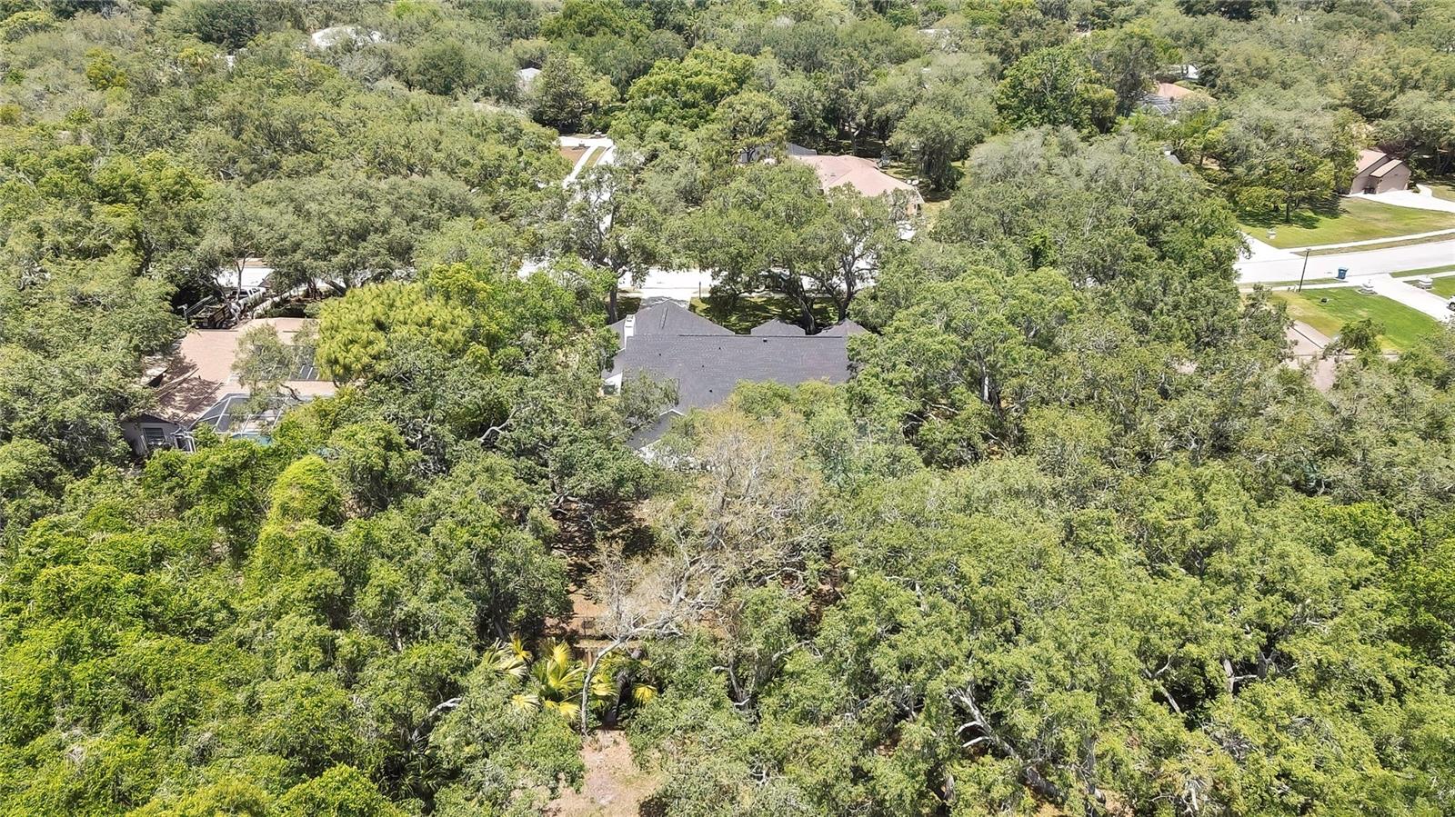 Image 56 of 67 For 7233 Royal Oak Drive