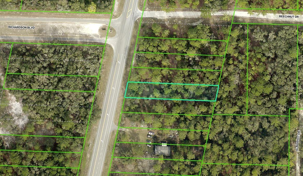 Details for 0 Treiman Blvd Lot 15, WEBSTER, FL 33597