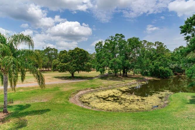 Listing photo id 53 for 15906 Prince William Place