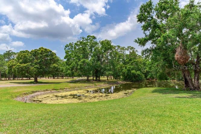 Listing photo id 71 for 15906 Prince William Place