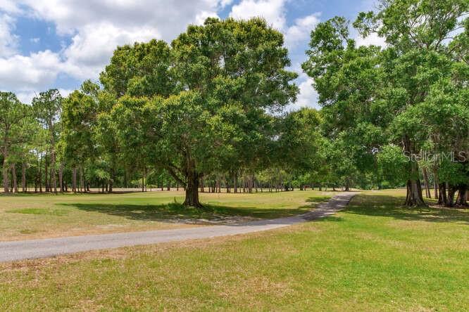 Listing photo id 72 for 15906 Prince William Place