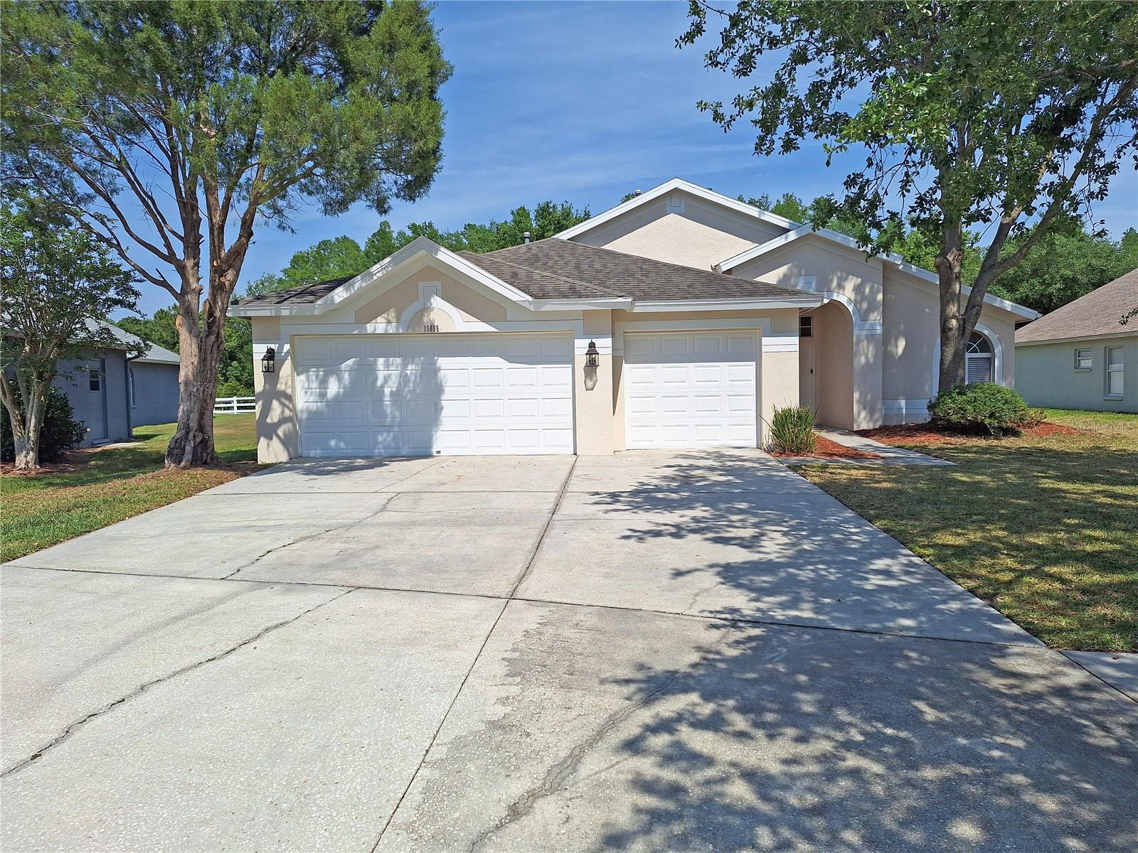 Details for 19855 Ellendale Drive, LAND O LAKES, FL 34638