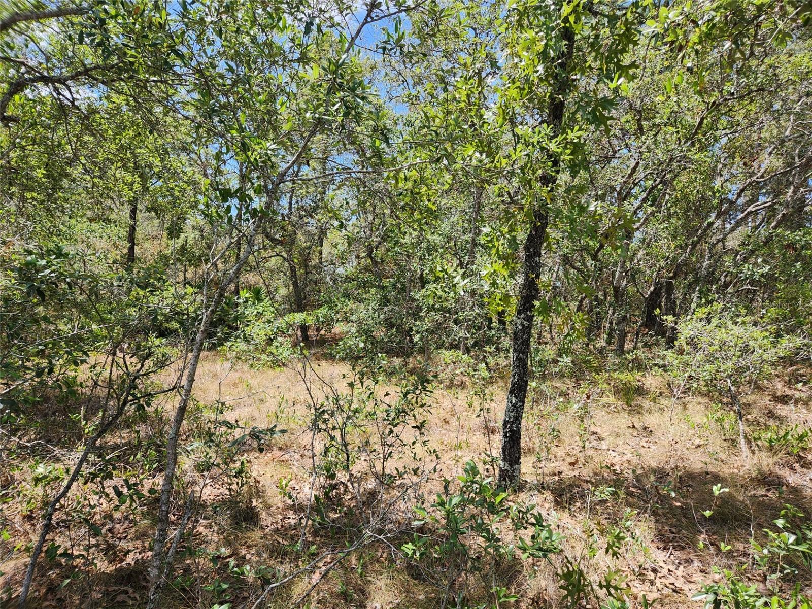 Image 8 of 14 For 0 Day Owl Avenue Lot # 7