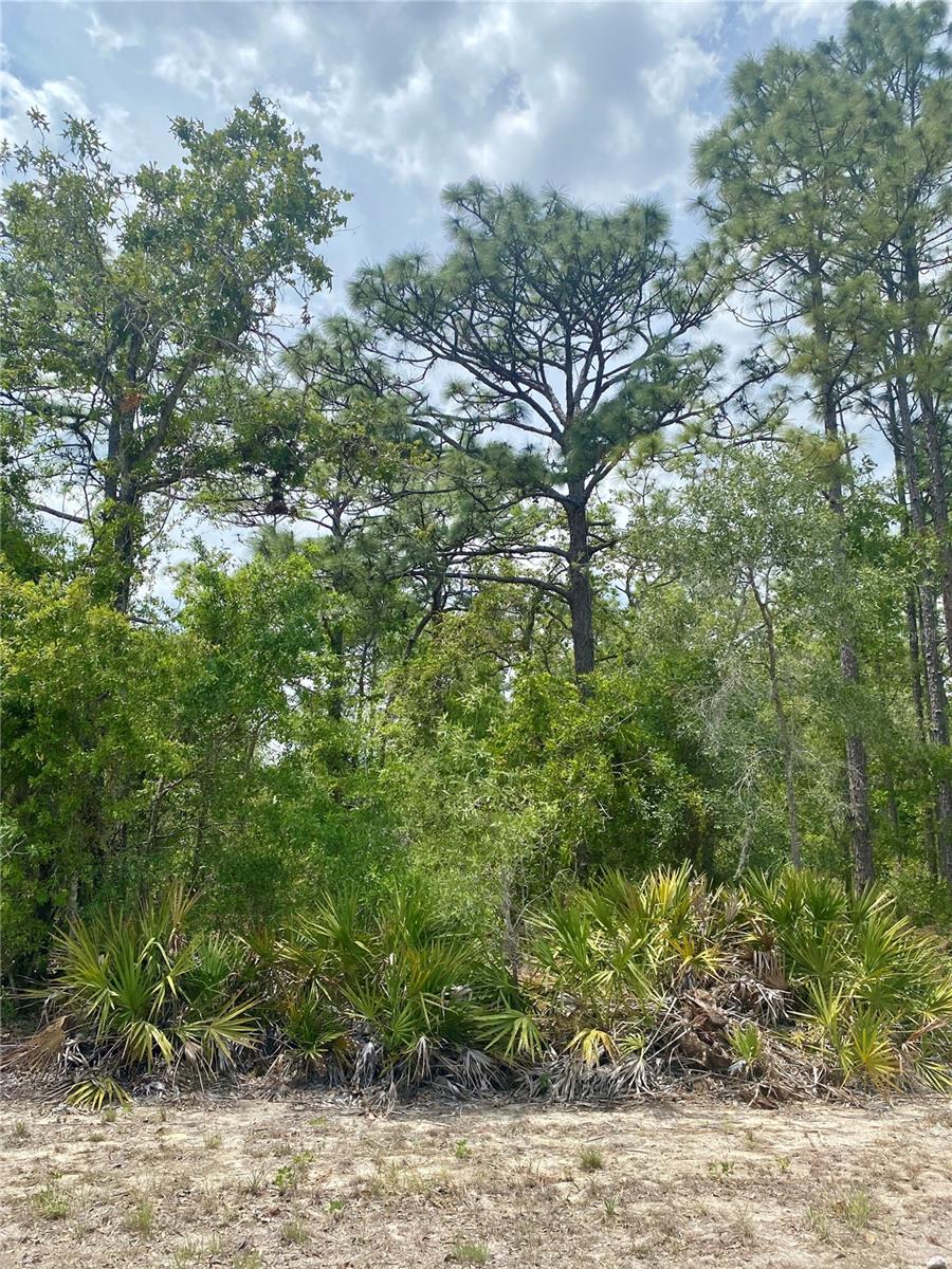 Image 2 of 2 For 13439 Cormorant Road
