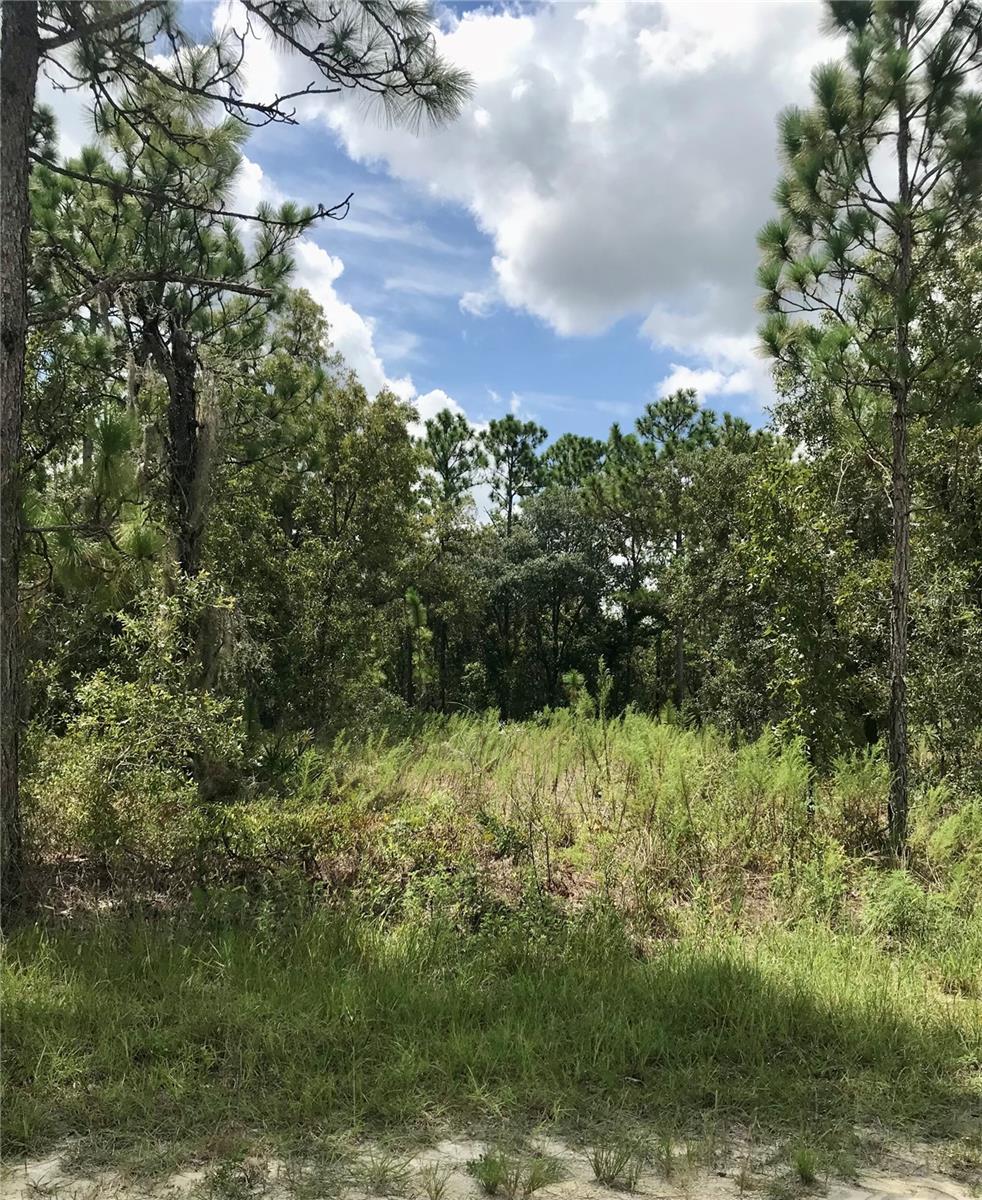 Image 2 of 2 For Lot 4 Florida Wren Avenue