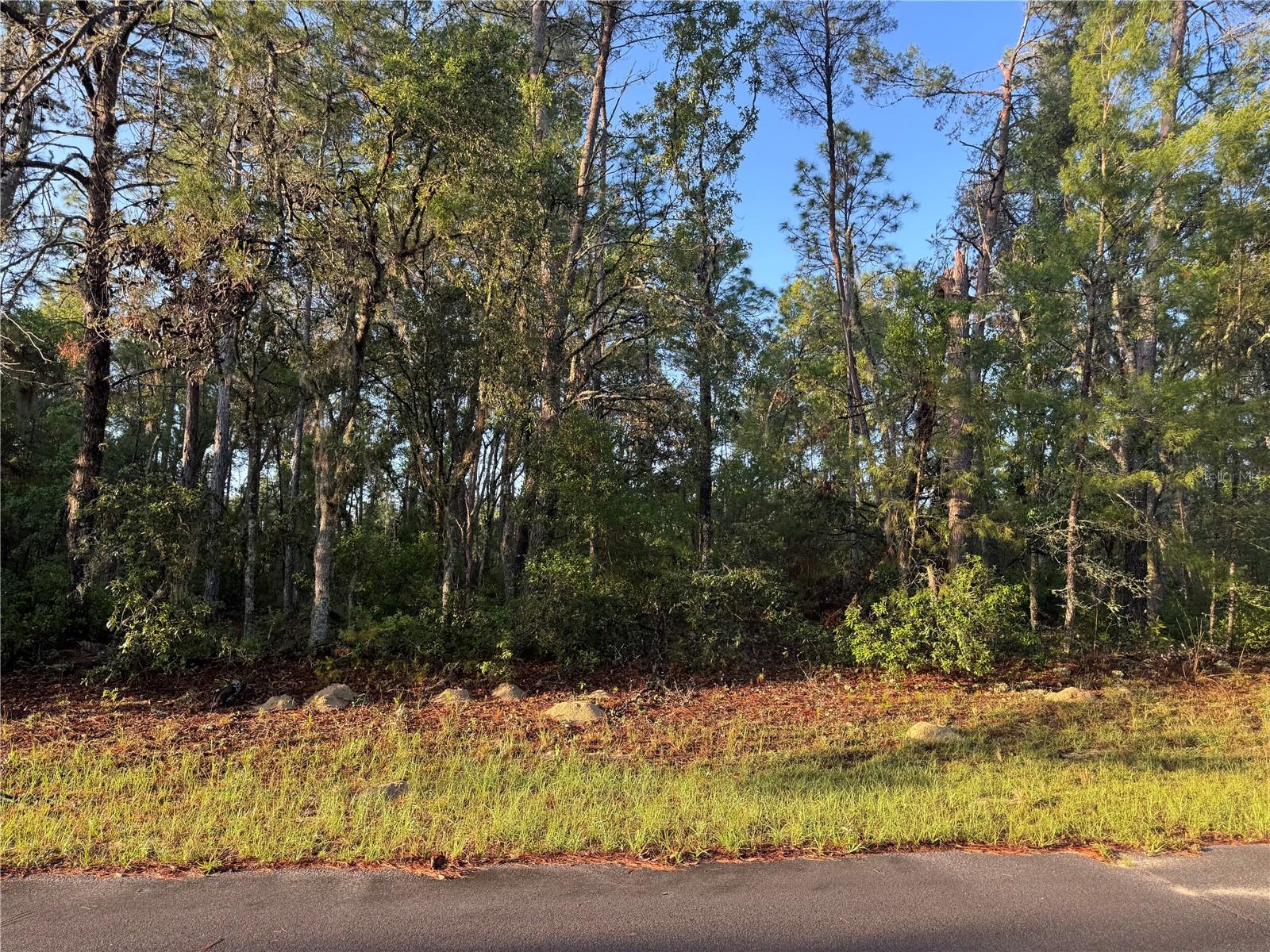 Listing Details for 2 Sw 179th Place, OCALA, FL 34473