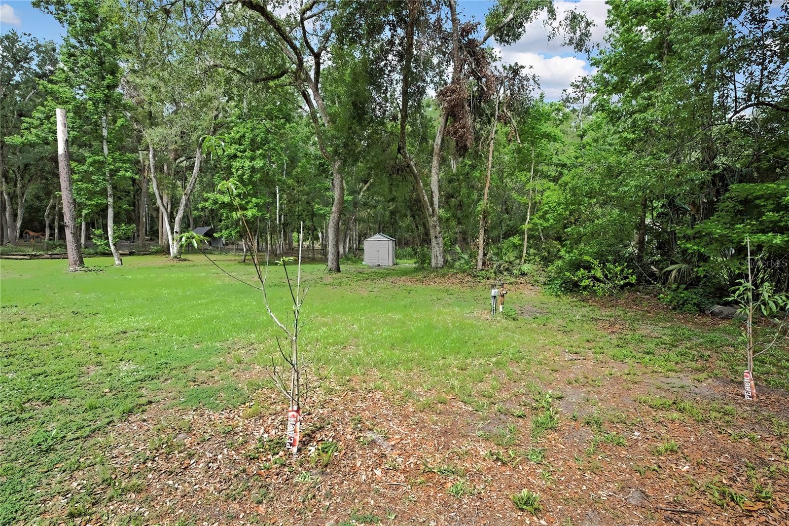 Image 29 of 35 For 5113 Cedar Lane