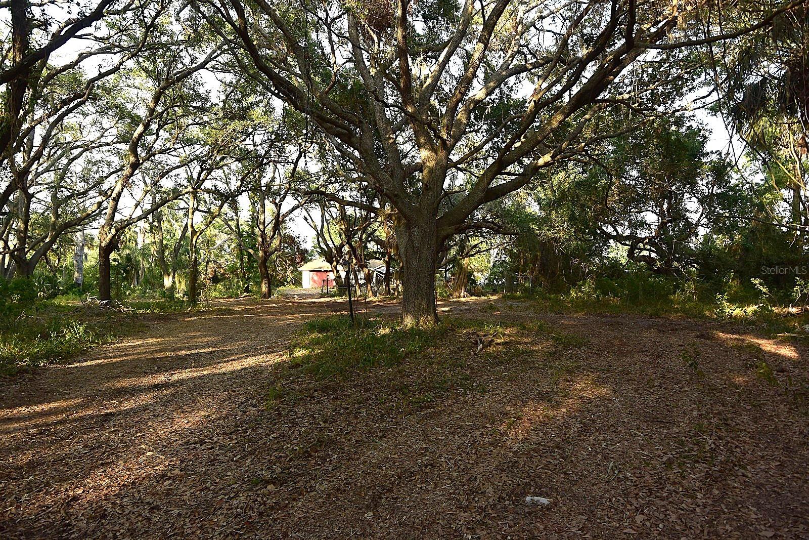 Image 4 of 53 For 7610 Anna Avenue