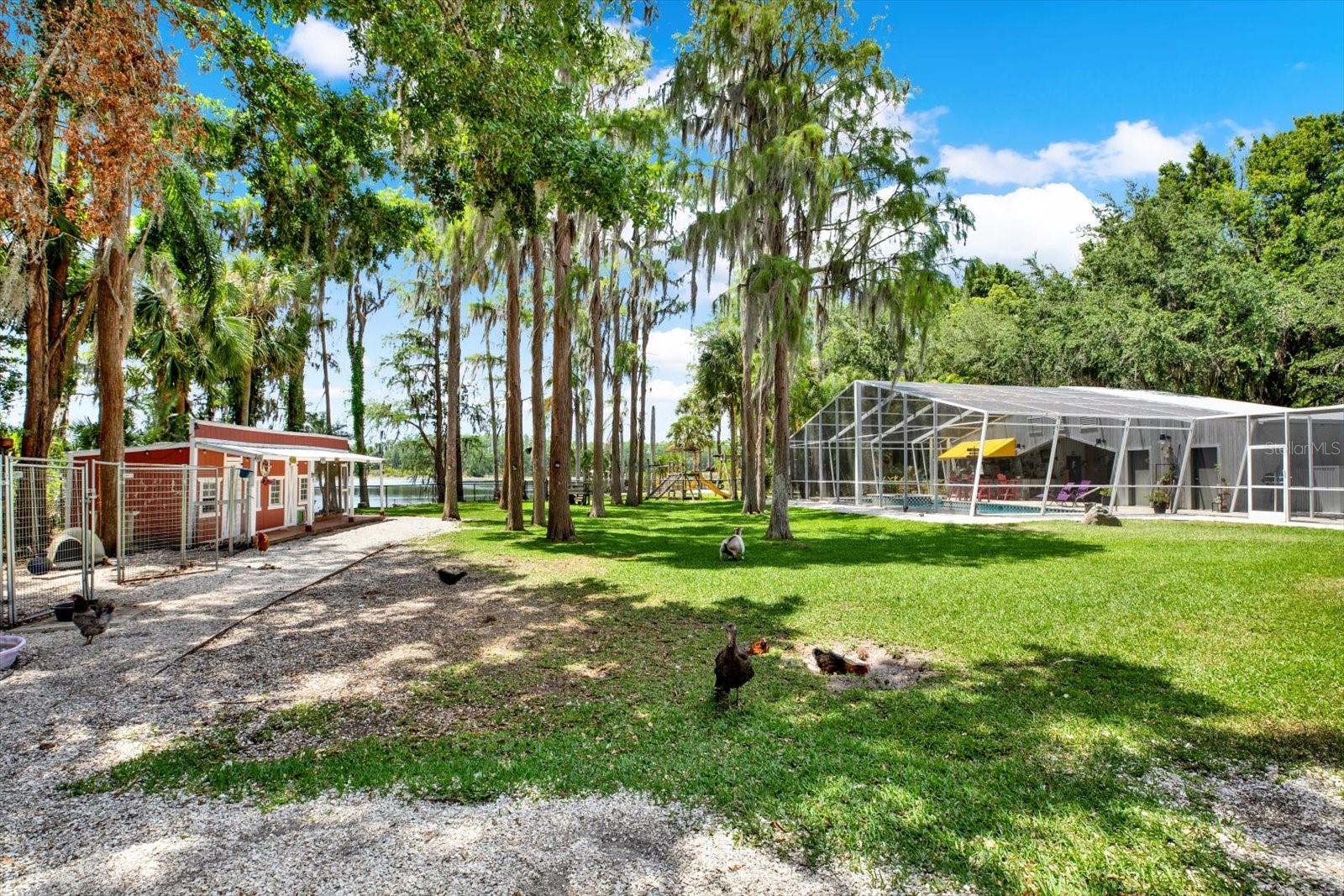 Listing photo id 45 for 4541 School Road