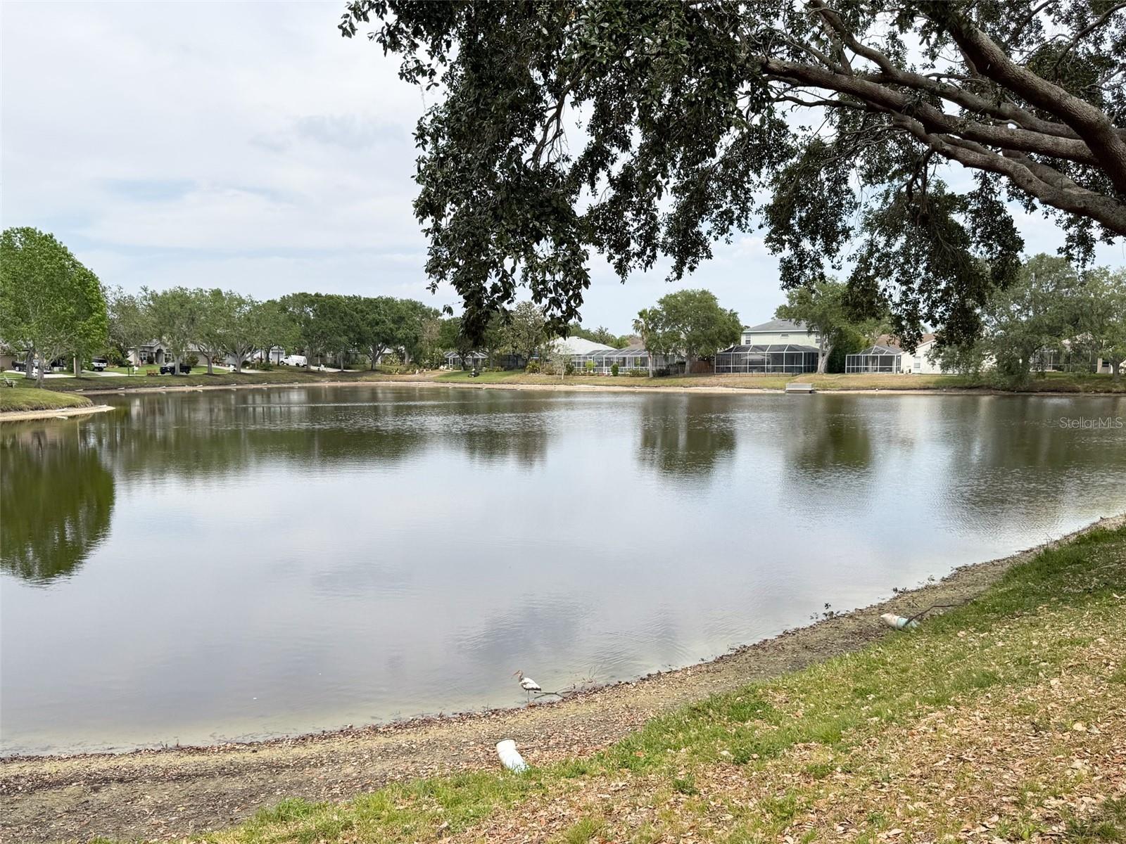 Image 8 of 58 For 1121 Riveredge Drive