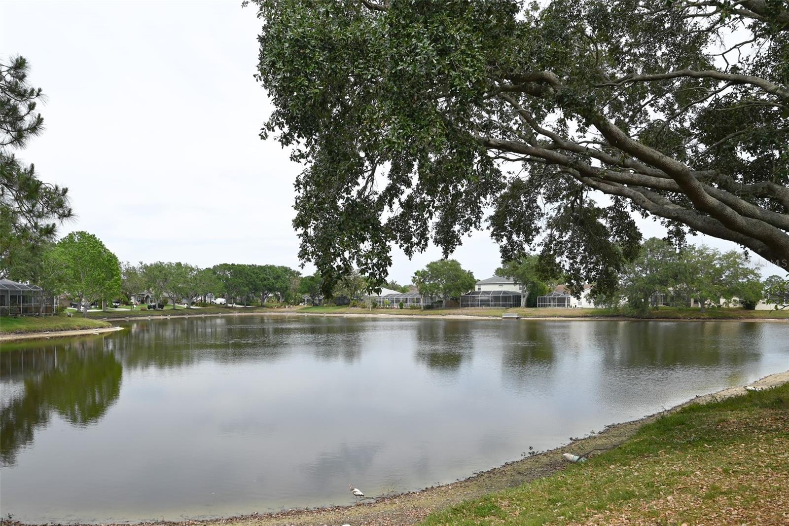 Image 9 of 58 For 1121 Riveredge Drive