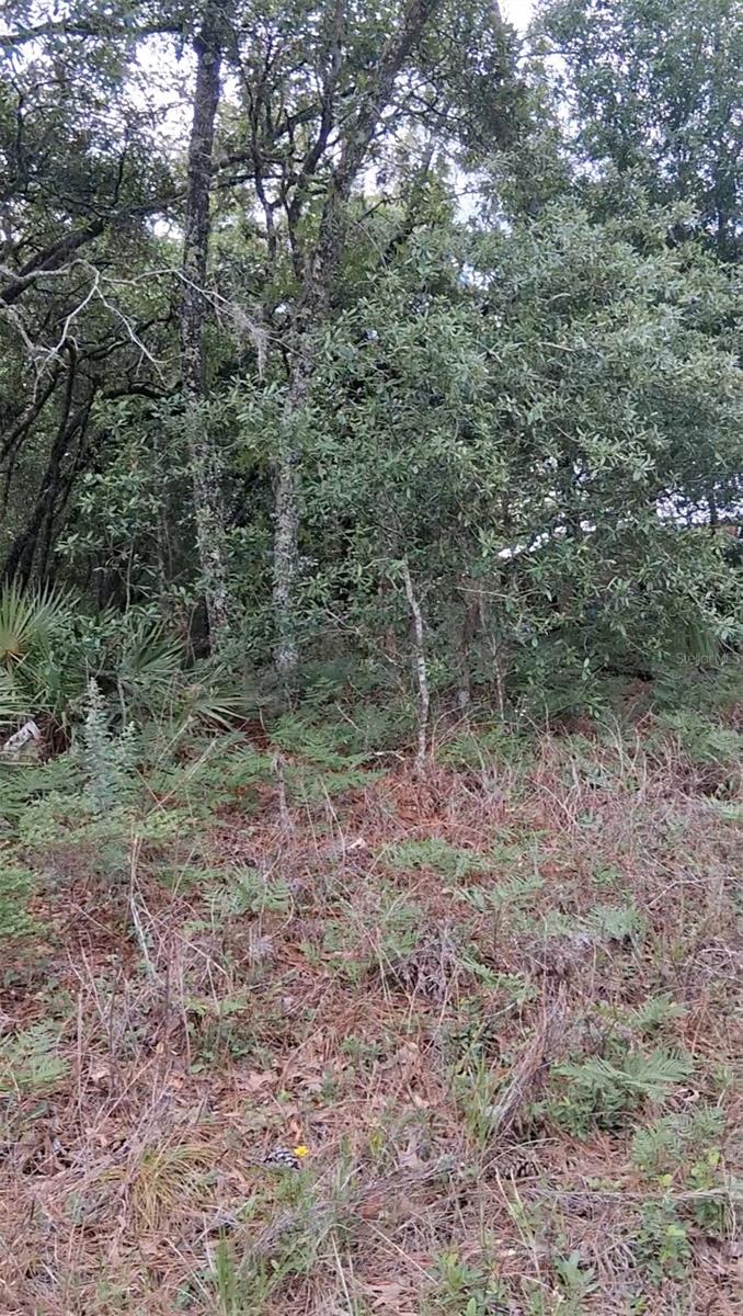 Listing Details for 5887 - 5899 Bedstrow Boulevard, DUNNELLON, FL 34434