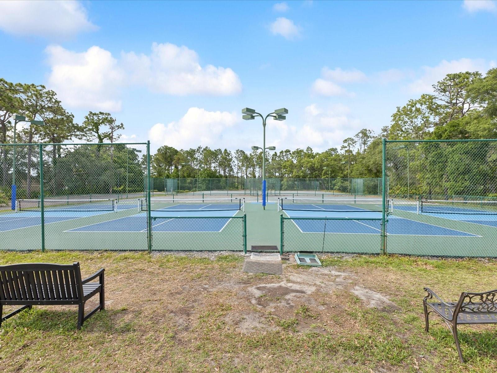 Image 78 of 82 For 10187 Holly Berry Drive