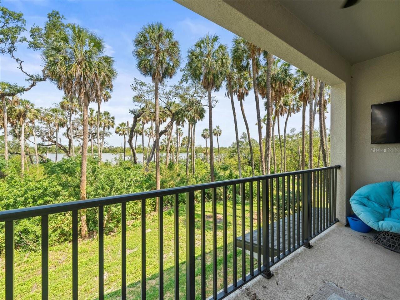 Image 17 of 61 For 4740 Tuscan Loon Drive