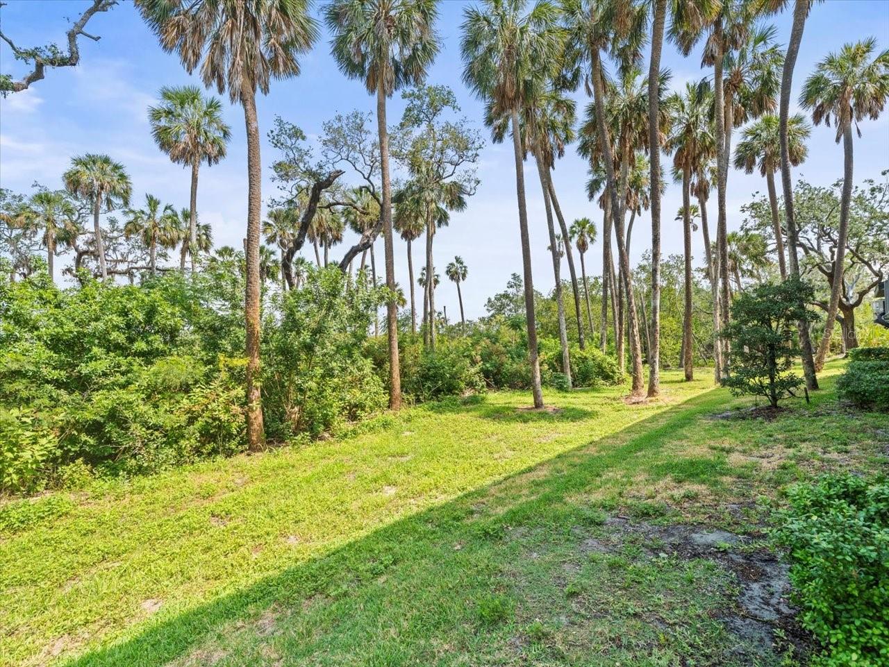 Image 46 of 61 For 4740 Tuscan Loon Drive
