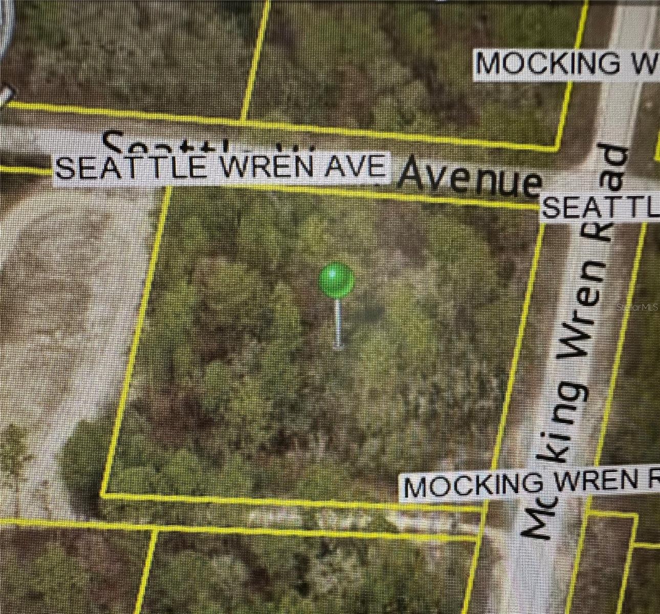 Listing Details for 11288 Seattle Wren Avenue, WEEKI WACHEE, FL 34614