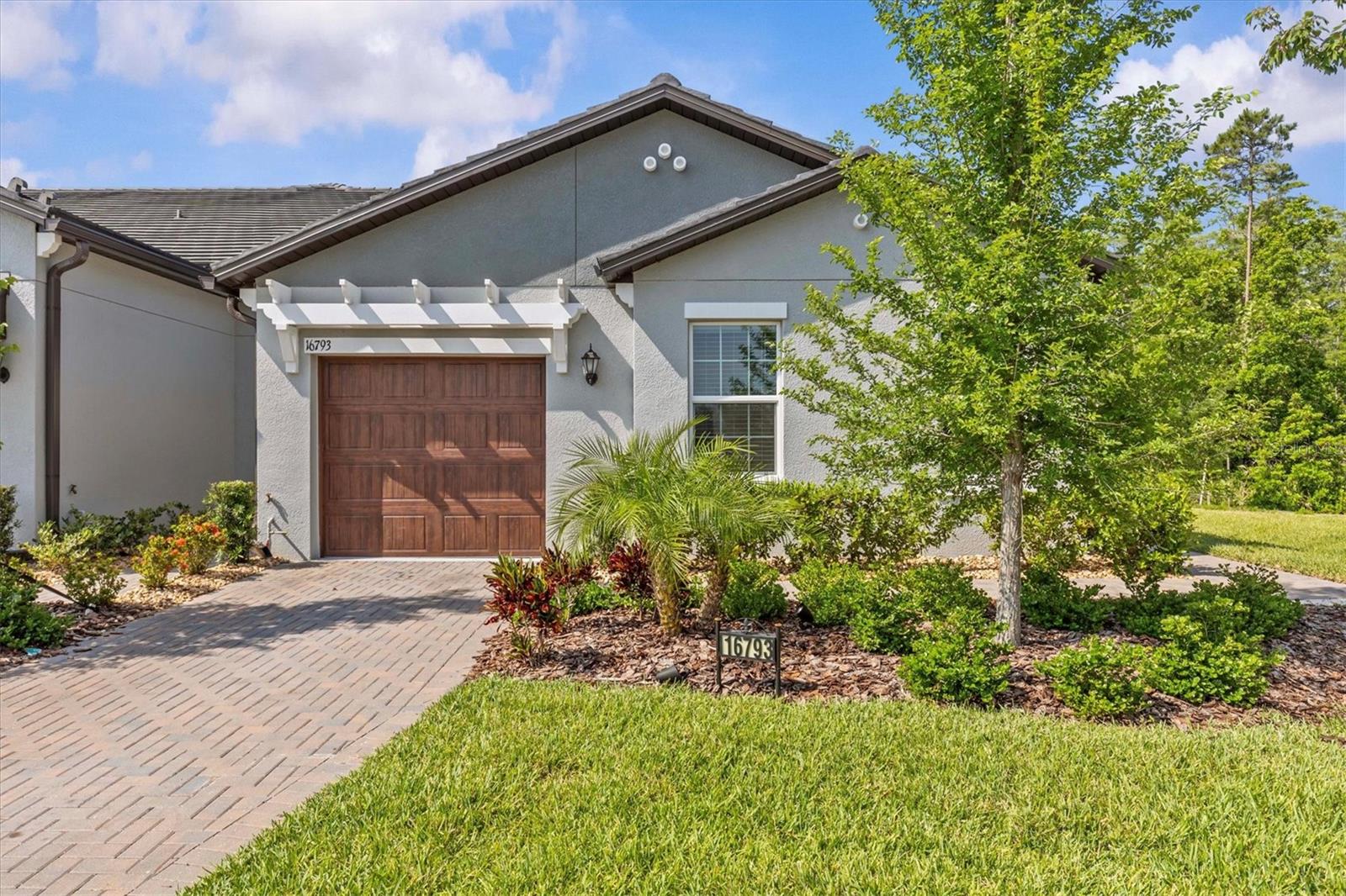 Details for 16793 Forge Surf Street, LAND O LAKES, FL 34638