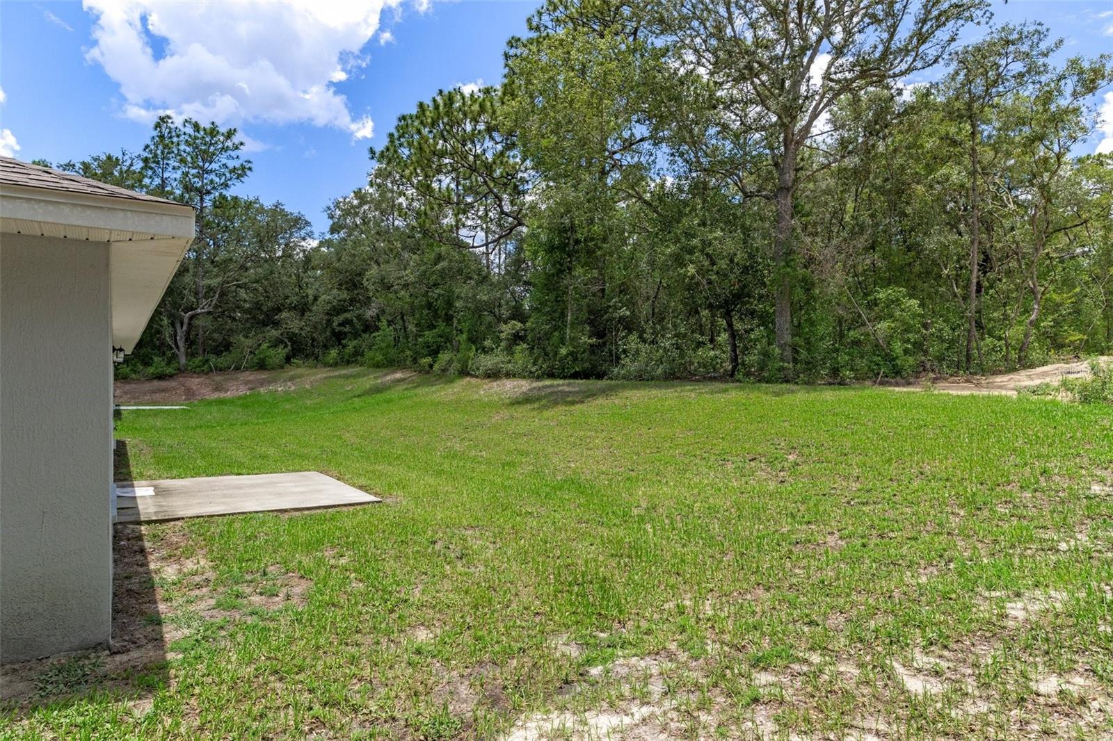 Listing photo id 36 for 9252 Agatha Drive