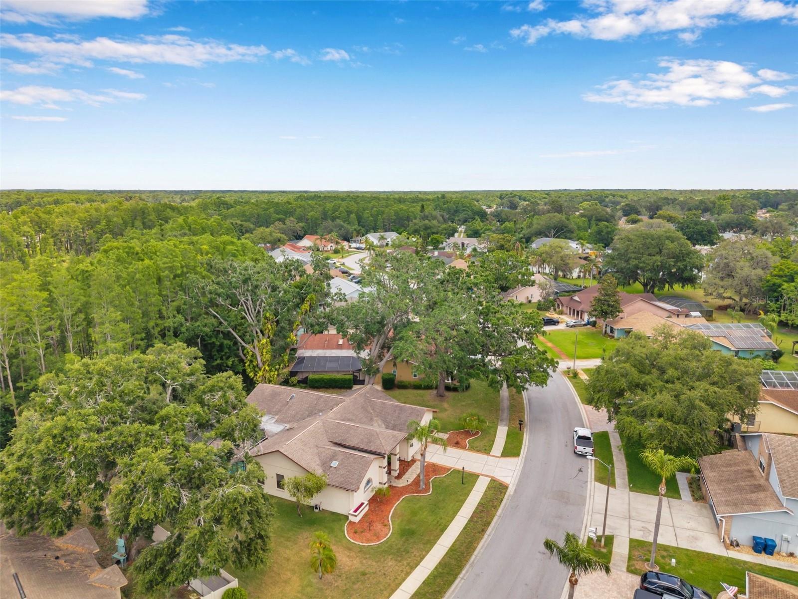 Listing photo id 51 for 9757 Hermosillo Drive
