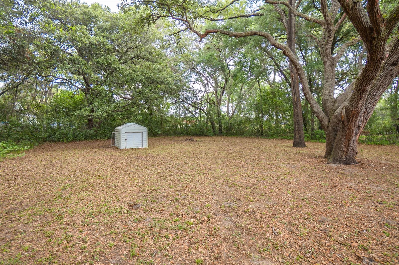 Listing photo id 16 for 2314 Colby Street