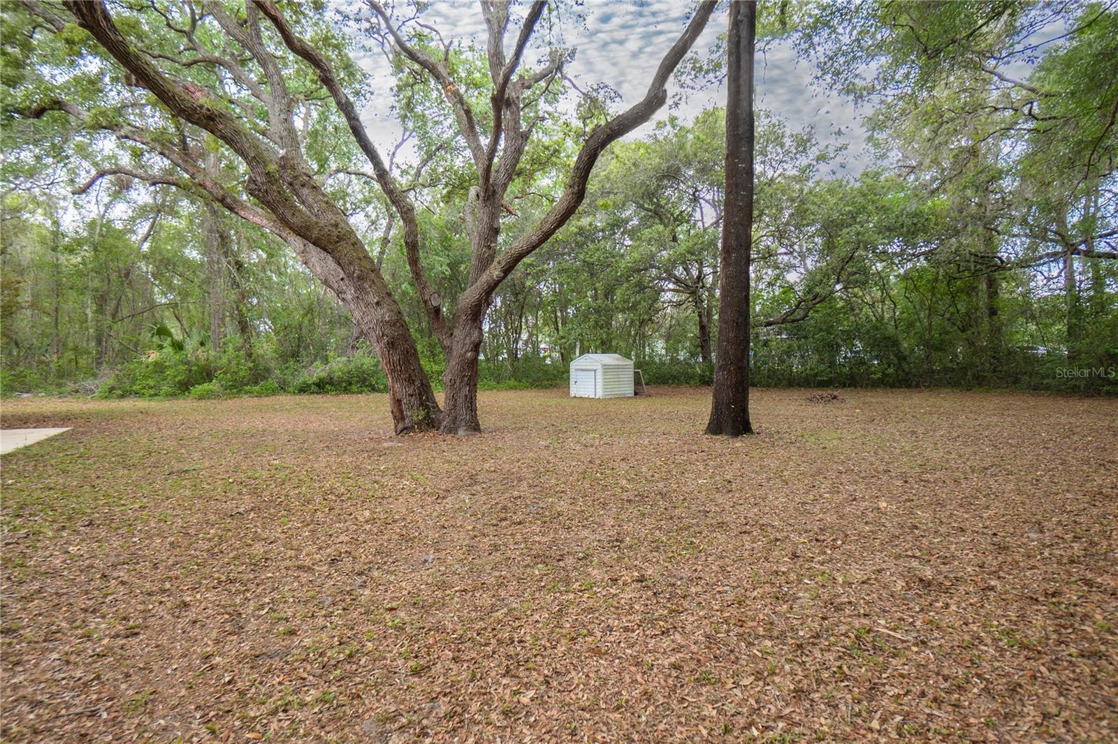 Listing photo id 18 for 2314 Colby Street