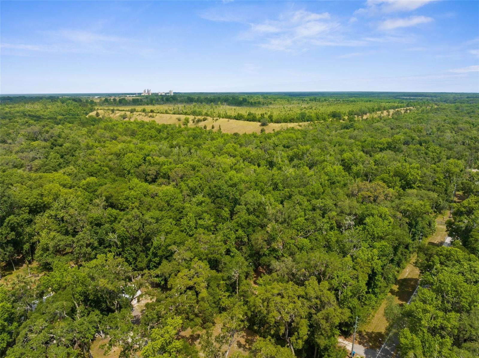 Listing photo id 9 for 14145 Citrus Way